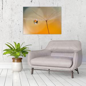 Kép - Makró virág (70x50 cm)