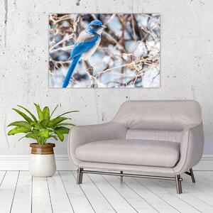 Kép - Téli madár (90x60 cm)