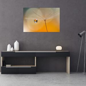 Kép - Makró virág (90x60 cm)
