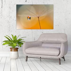 Kép - Makró virág (90x60 cm)