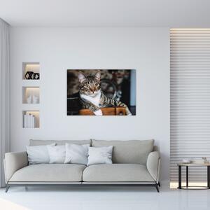 Macska képe (90x60 cm)