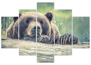 Medve képe (150x105 cm)