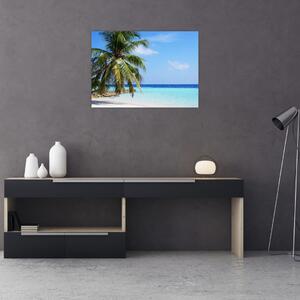 Pálmafák a strandon képe (70x50 cm)