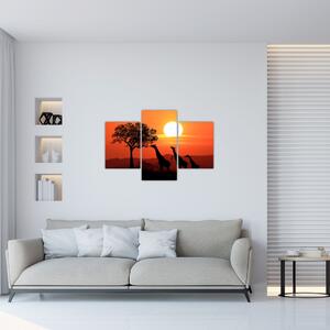 Zsiráfok képe naplementekor (90x60 cm)