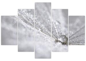 Kép - Egy csepp víz (150x105 cm)