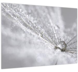 Kép - Egy csepp víz (70x50 cm)