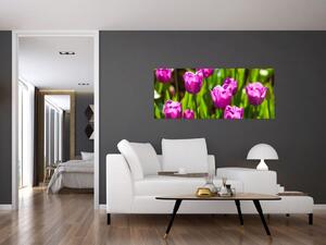 Tulipánok a réten képe (120x50 cm)
