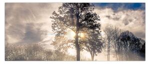 Fa a ködben képe (120x50 cm)