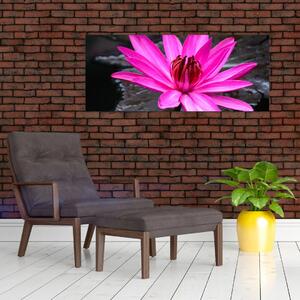 Kép - rózsaszín virág (120x50 cm)