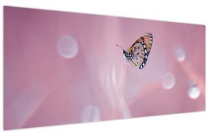 Kép - Pillangó (120x50 cm)