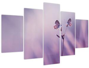 Kép - Lila pillangók (150x105 cm)