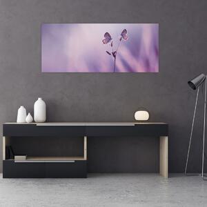Kép - Lila pillangók (120x50 cm)