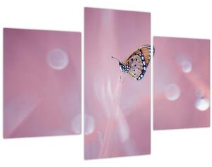 Kép - Pillangó (90x60 cm)
