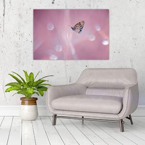 Kép - Pillangó (90x60 cm)