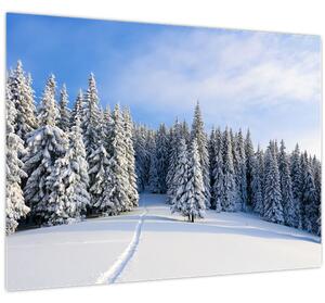 Kép - Tél az erdőben (70x50 cm)