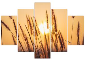 Kép - Füvek a napon (150x105 cm)