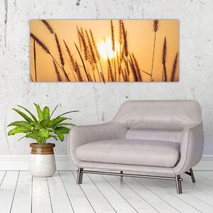 Kép - Füvek a napon (120x50 cm)