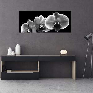 Egy orchidea virág képe (120x50 cm)