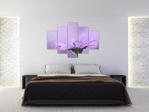Kép - Ibolya virág (150x105 cm)
