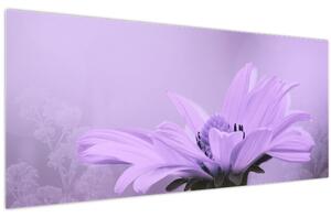 Kép - Ibolya virág (120x50 cm)
