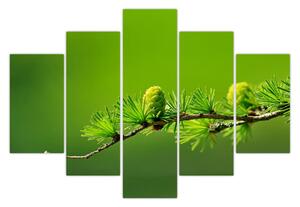 Zöld fenyőtoboz képe (150x105 cm)