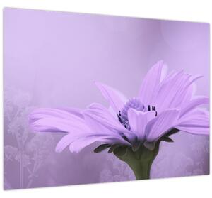 Kép - Ibolya virág (70x50 cm)