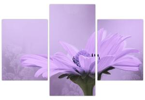 Kép - Ibolya virág (90x60 cm)