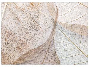 Kép - Bézs levelek (70x50 cm)
