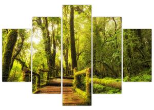 Mohás dzsungel képe (150x105 cm)