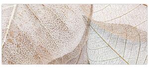 Kép - Bézs levelek (120x50 cm)