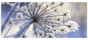 Kép - Fagyott virág (120x50 cm)