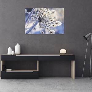 Kép - Fagyott virág (90x60 cm)