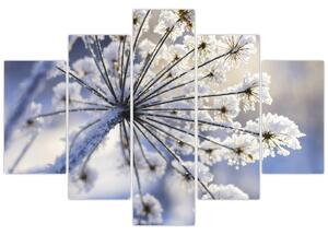 Kép - Fagyott virág (150x105 cm)