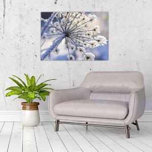 Kép - Fagyott virág (70x50 cm)