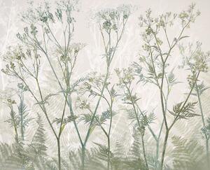 Illusztráció Cow parsley, Nel Talen, (40 x 35 cm)