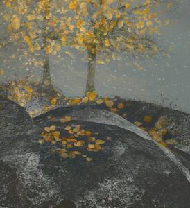 Illusztráció Falling leaves, Nel Talen, (35 x 40 cm)