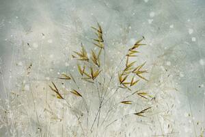 Illusztráció Wintertime, Nel Talen, (40 x 26.7 cm)