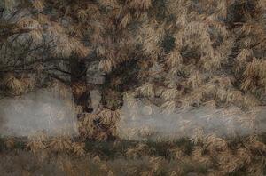 Illusztráció Pine tree, Nel Talen, (40 x 26.7 cm)