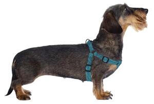 BRAIDED kutya hám S méret - többféle színben Termék színe: Kék