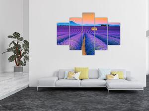 Kép - Levendula mező (150x105 cm)
