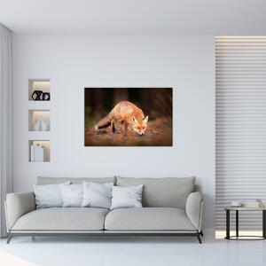 Kép - Róka az erdőben (90x60 cm)