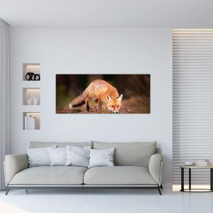 Kép - Róka az erdőben (120x50 cm)