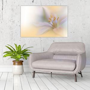 Kép - Gyengéd virág (90x60 cm)