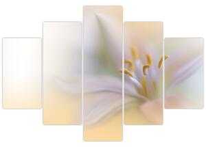 Kép - Gyengéd virág (150x105 cm)