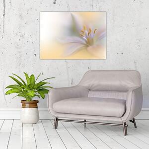 Kép - Gyengéd virág (70x50 cm)