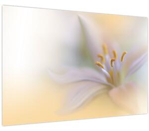 Kép - Gyengéd virág (90x60 cm)