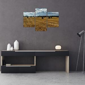 Betakarított gabona mező képe (90x60 cm)