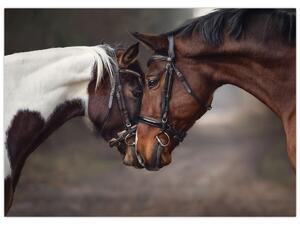 Kép - Szerelmes lovak (70x50 cm)