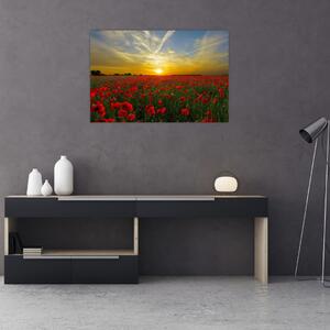 Egy kép a pipacs mezőről (90x60 cm)