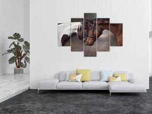 Kép - Szerelmes lovak (150x105 cm)